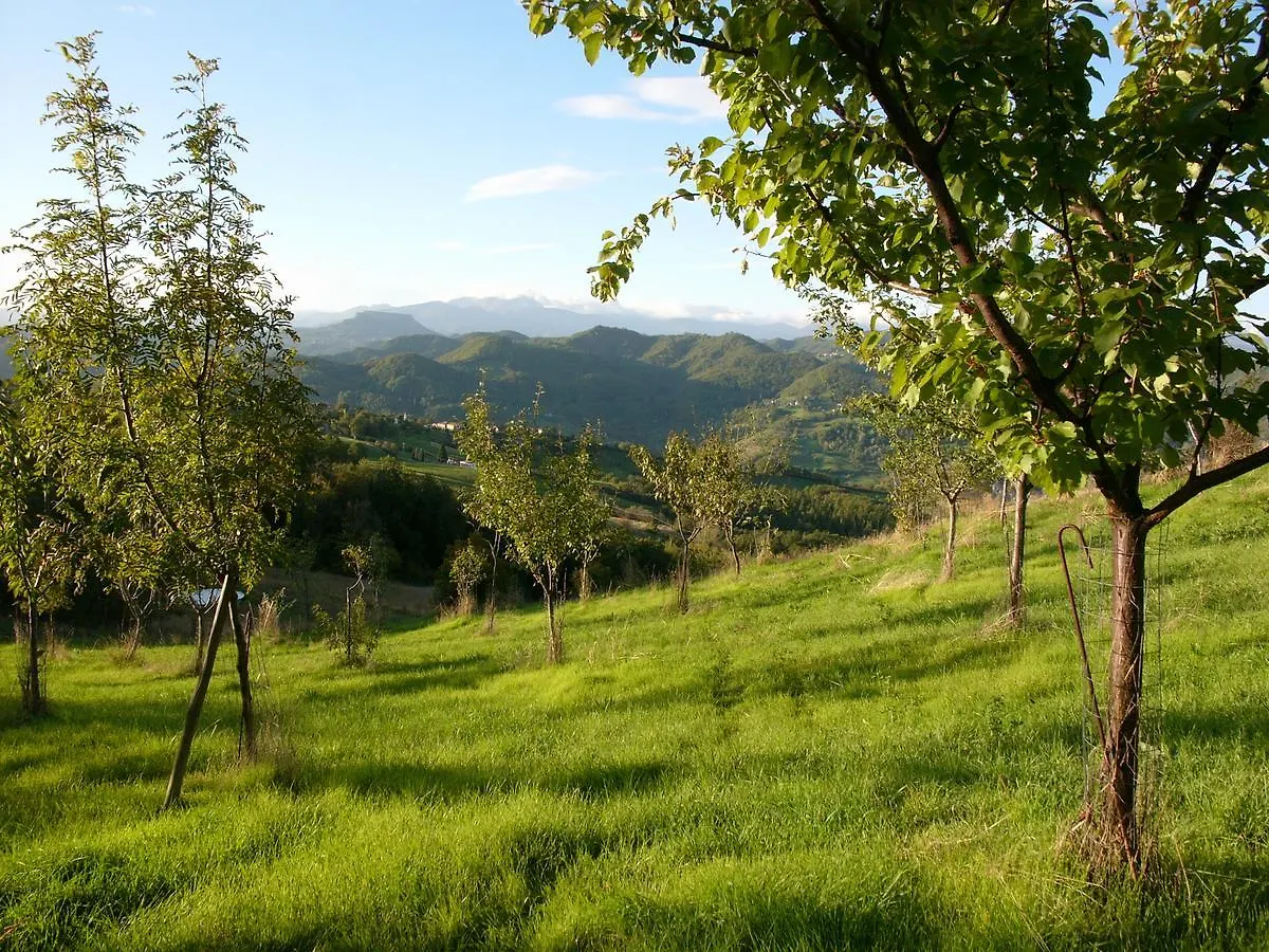 Lodge Chalet Il Bosco Dei Mille Frutti Canossa